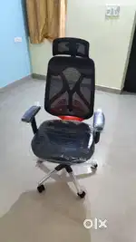 Cell Bell high back Ergonomic chair