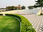 Golf green society