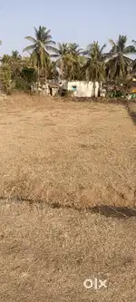 DC approved site