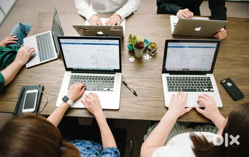 Software company jobs