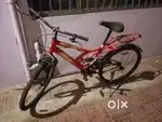 Fully conditione cycle