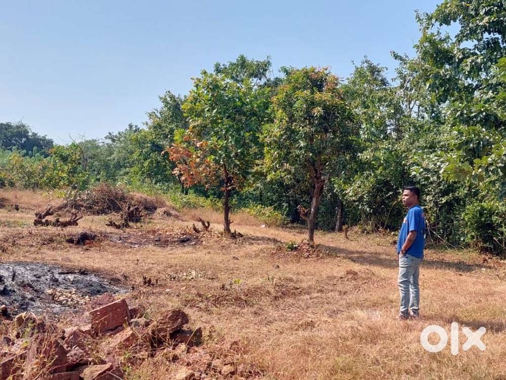 Farm Land Near Dapoli, Dabhol Road touch