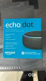 Amazon echo dot Alexa
