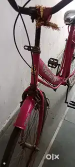 Fantasy Cycle brand Only at 2500