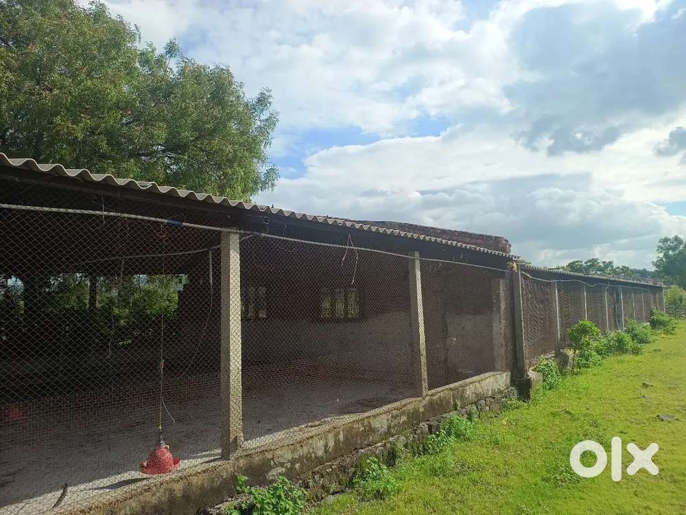 पोल्ट्री शेड विकणे आहे