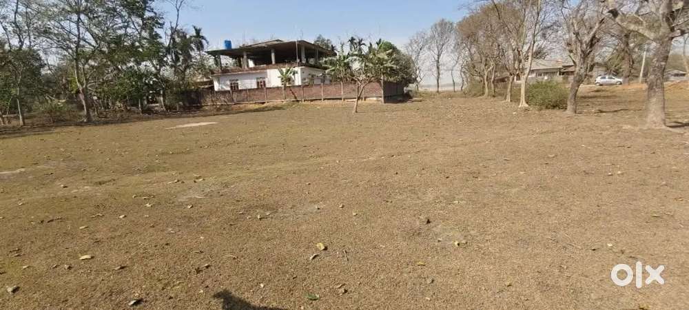 3.5 kattha Miyadi patta plot for sale at Bijoynagar