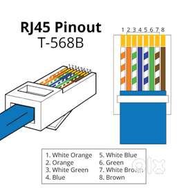 Printer & Network Engineer