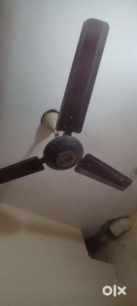 Celing fen ok condition