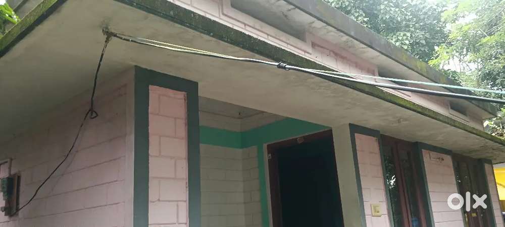 22.5 cent plot with a 450 sqft. House at meenkunnam