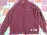 Wildcraft jacket