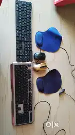 Zebronics Mechanical Keyboards, Mouses for Sale