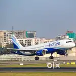 IndiGo Airlines Jobs Hiring AOCS, Apply Now for Ground Staff Roles