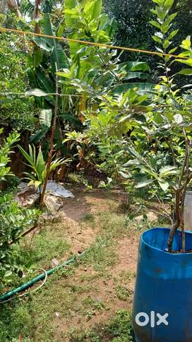 Kavanad land property NRI preferred