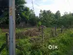 Land for sale in ethanur,palakad