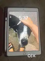Ipae 7th generation along with apple pencil