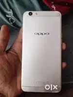 Kalagi kansoor