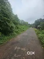 3 acres Level land in Chooral Payyanur