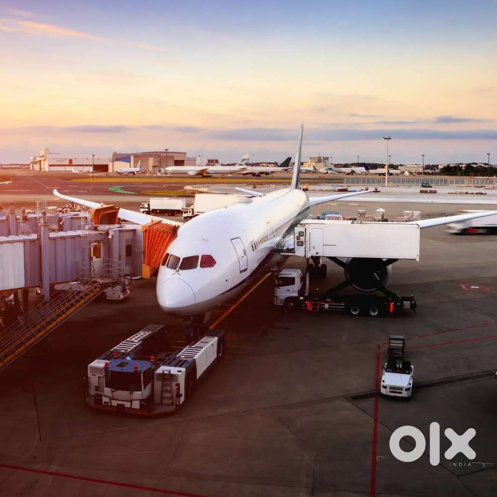 Accountant job in Cargo Warehouse On IGI Airport for Experienced