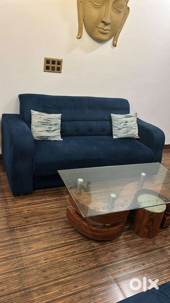 3 Seater + 3 Seater Sofat Set with Center Table
