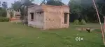 Current selling my plot