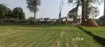 Road Touch 1.5 BIGHA plain Land in PACHORIYA CHAKARPUR