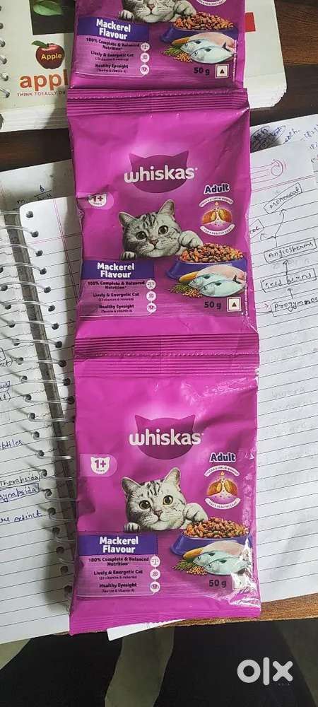 Pet food b
