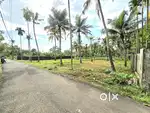 3 AND MORE CENT ORGINAL LAND FOR VARAPUZHA NEAR KONGORPILLY