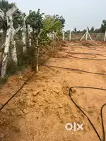 Plot at aler (yadadri buvnagiri)highway  yards.