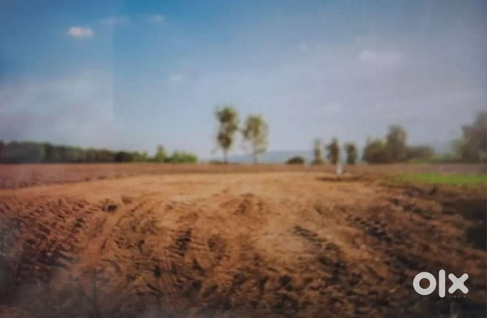 Plot for Near CNC COLLAGE Balangir
