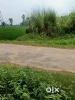 Palat gar banane ke liye