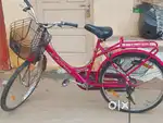 Neelam cycle new model