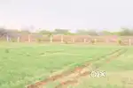 Low Budget Land With Monthly income ( Low Price Land Madurai )