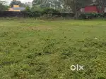 Koduvalli sakthi Nagar 1800 sqft vacant land for rent