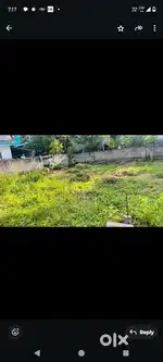 14.5 cent land for sale thonnakkal 100 m from main road