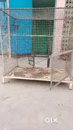 Big Cage for birds