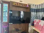 LG tv 55 inch with stabilizer