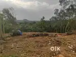 Pothencode nannattukavu ( no brockers ) urgent sale