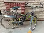Avon cycle