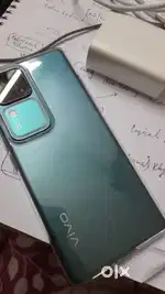 V30 10 month old