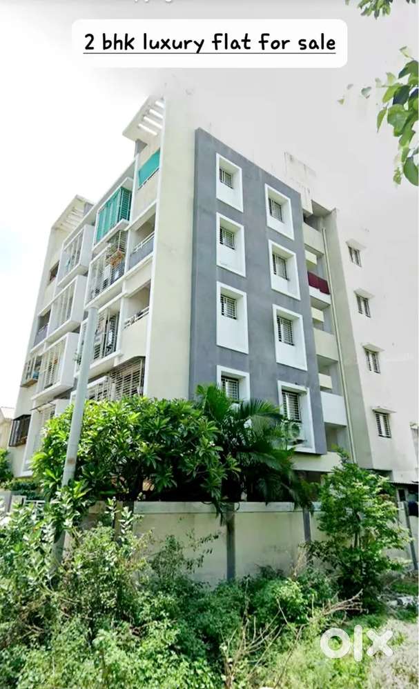 Luxury flat
