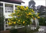 തൊടുപുഴ ടൗണിൽ 3bhk furnished flat