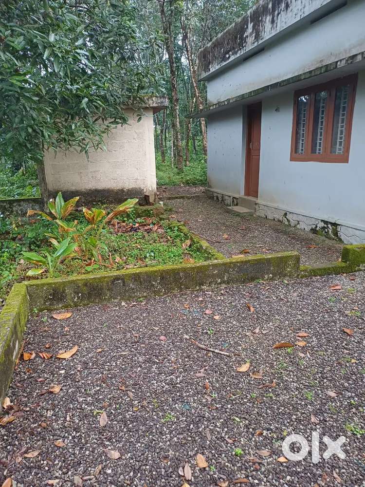 Small house for rent in Parakode, Adoor