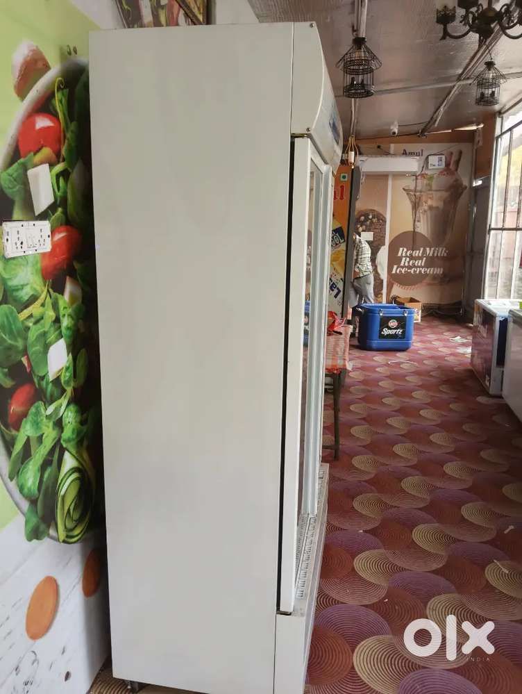 Blue star commercial fridge