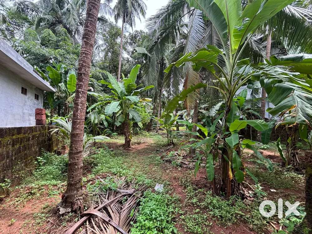7 Cent Residential Plot for Sale – Kanhangad South