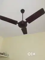 Fan and stabilizer
