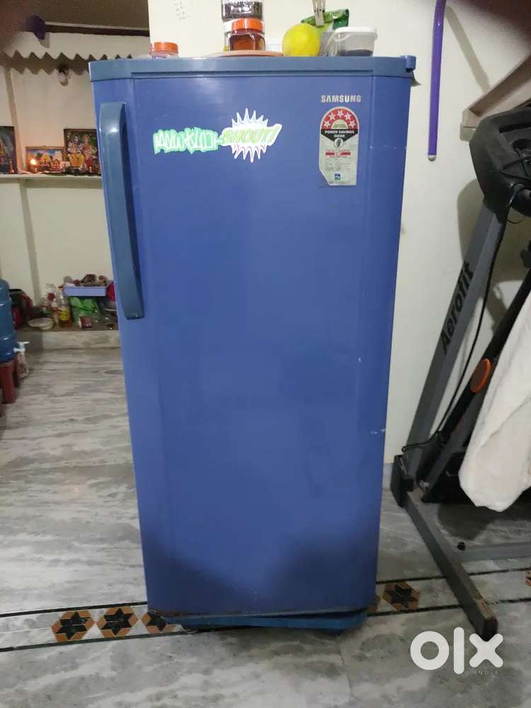 Samsung fridge 12 years old