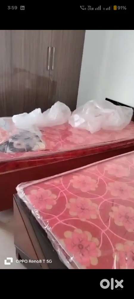 Roomate required