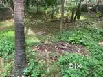 10 cents of land for sale in vallikunnu village