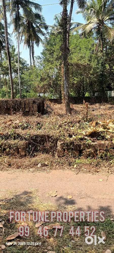 Alavil - 10 cent plot for sale