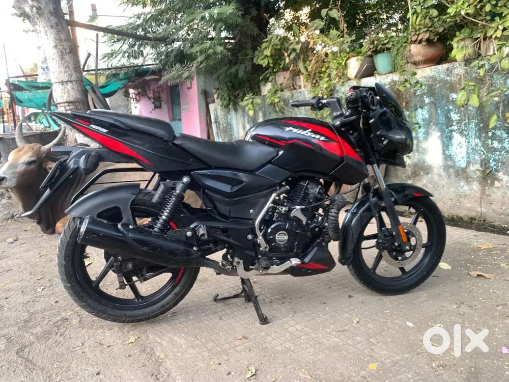 Pulsar 125 - 2022